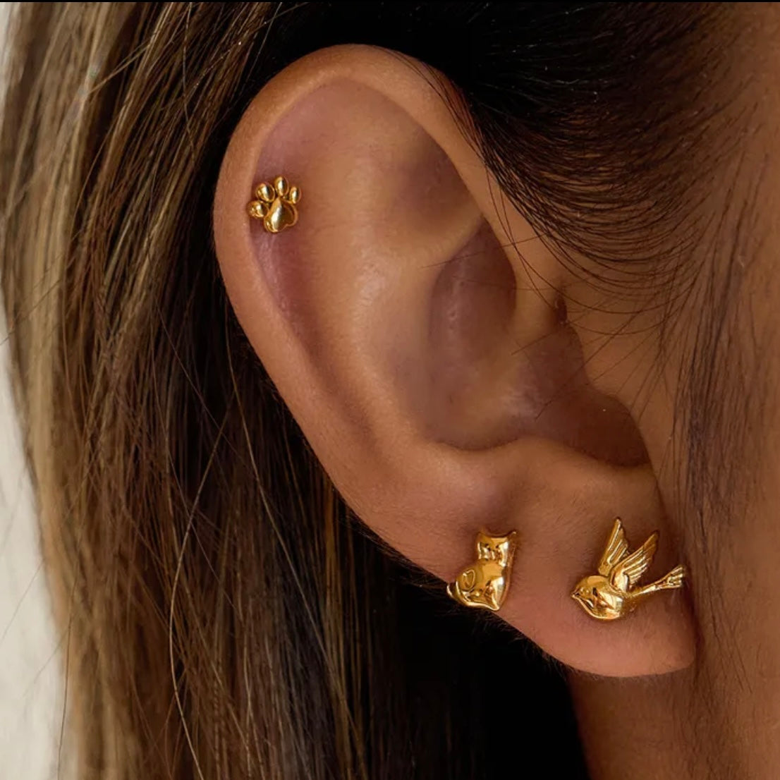 SET ARETES