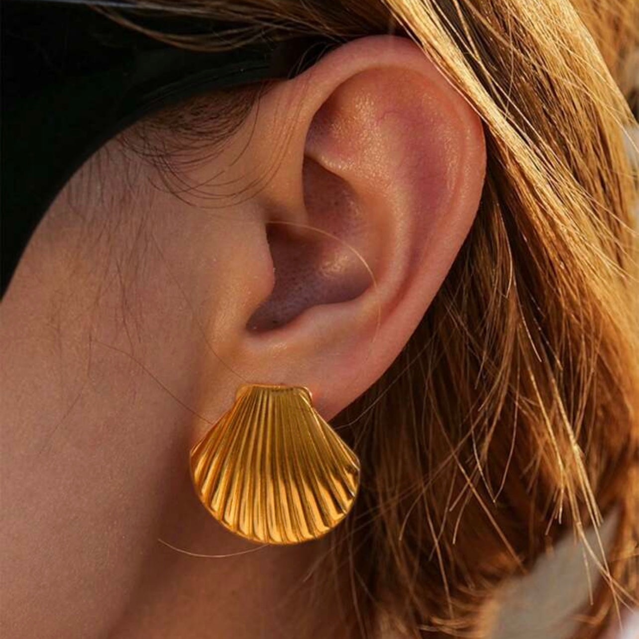 ARETES SEASHELL