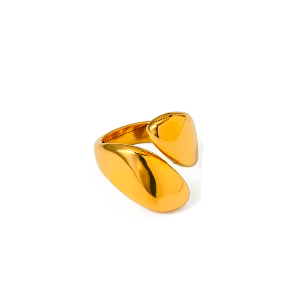 ANILLO BEYNAC