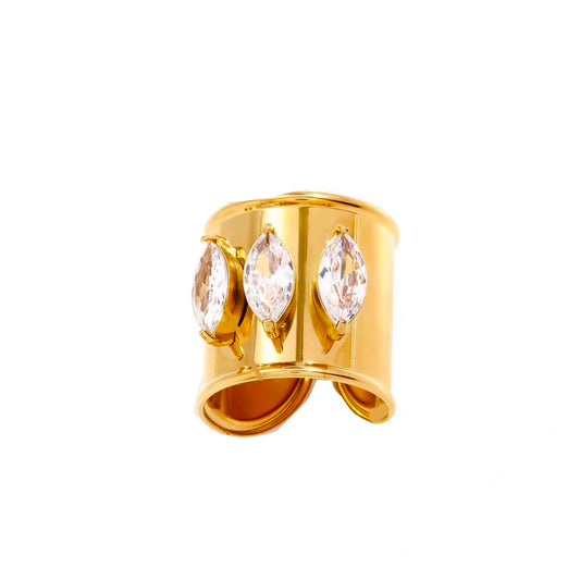 ANILLO