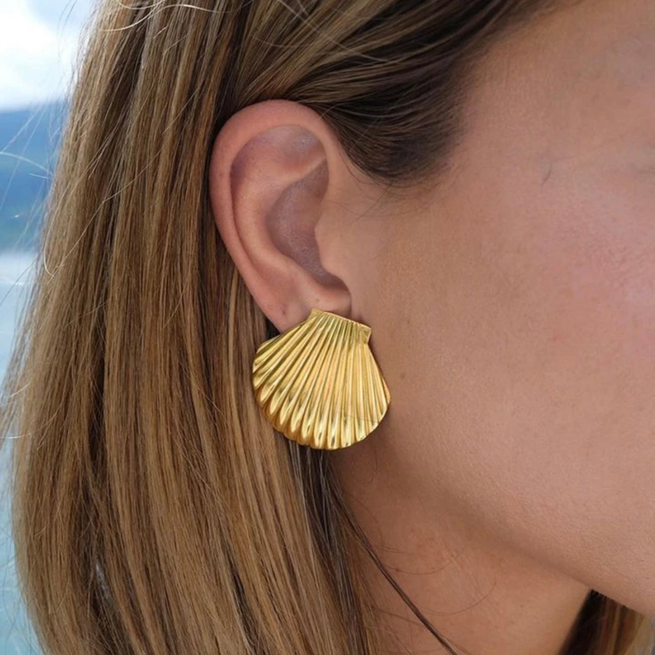 ARETES SEASHELL