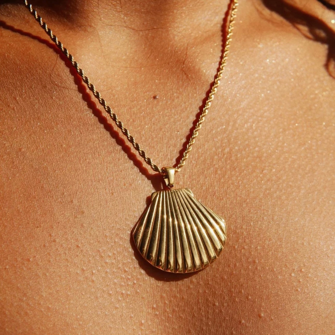 COLLAR SEASHELL