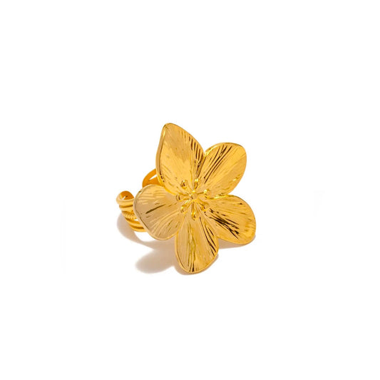 ANILLO GUIECHACHI