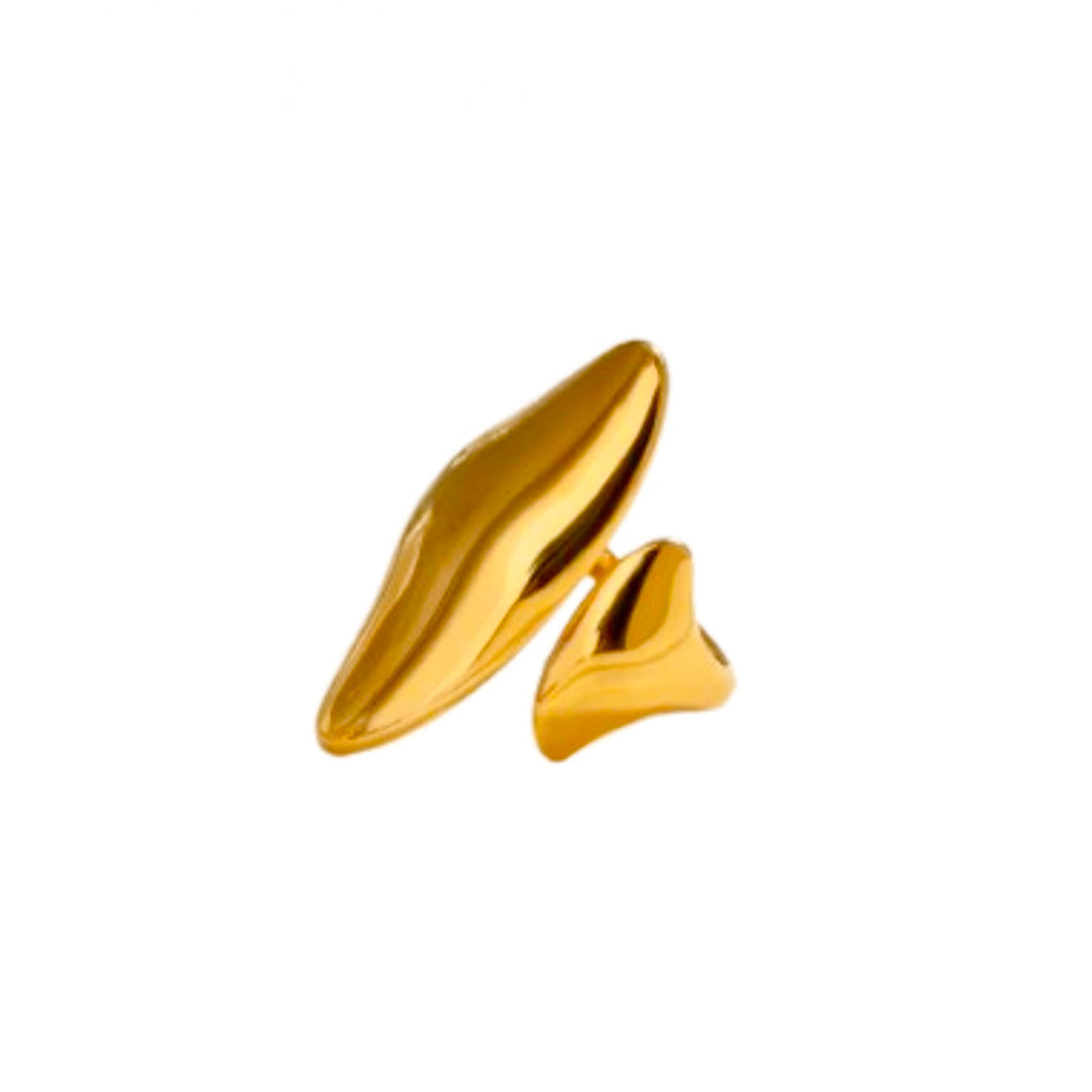 ANILLO ZARHI