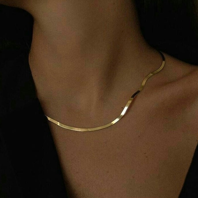 COLLAR SAFARI