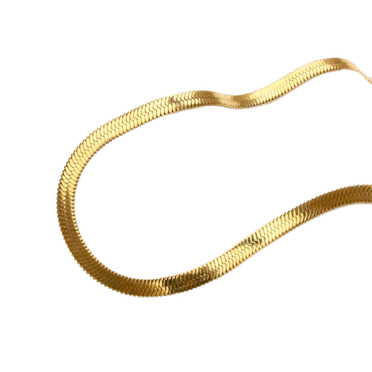 COLLAR SAFARI