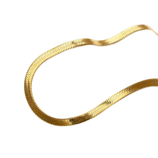 COLLAR SAFARI