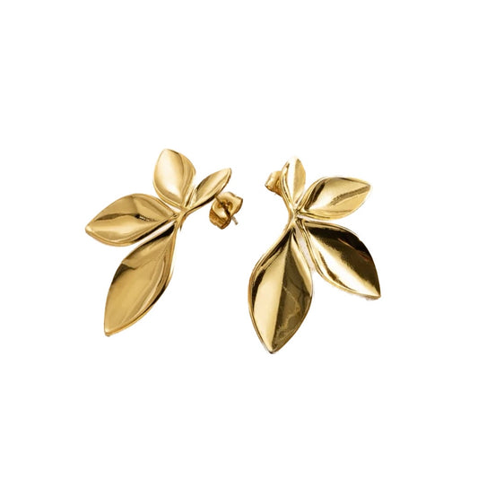 ARETES OTOÑO