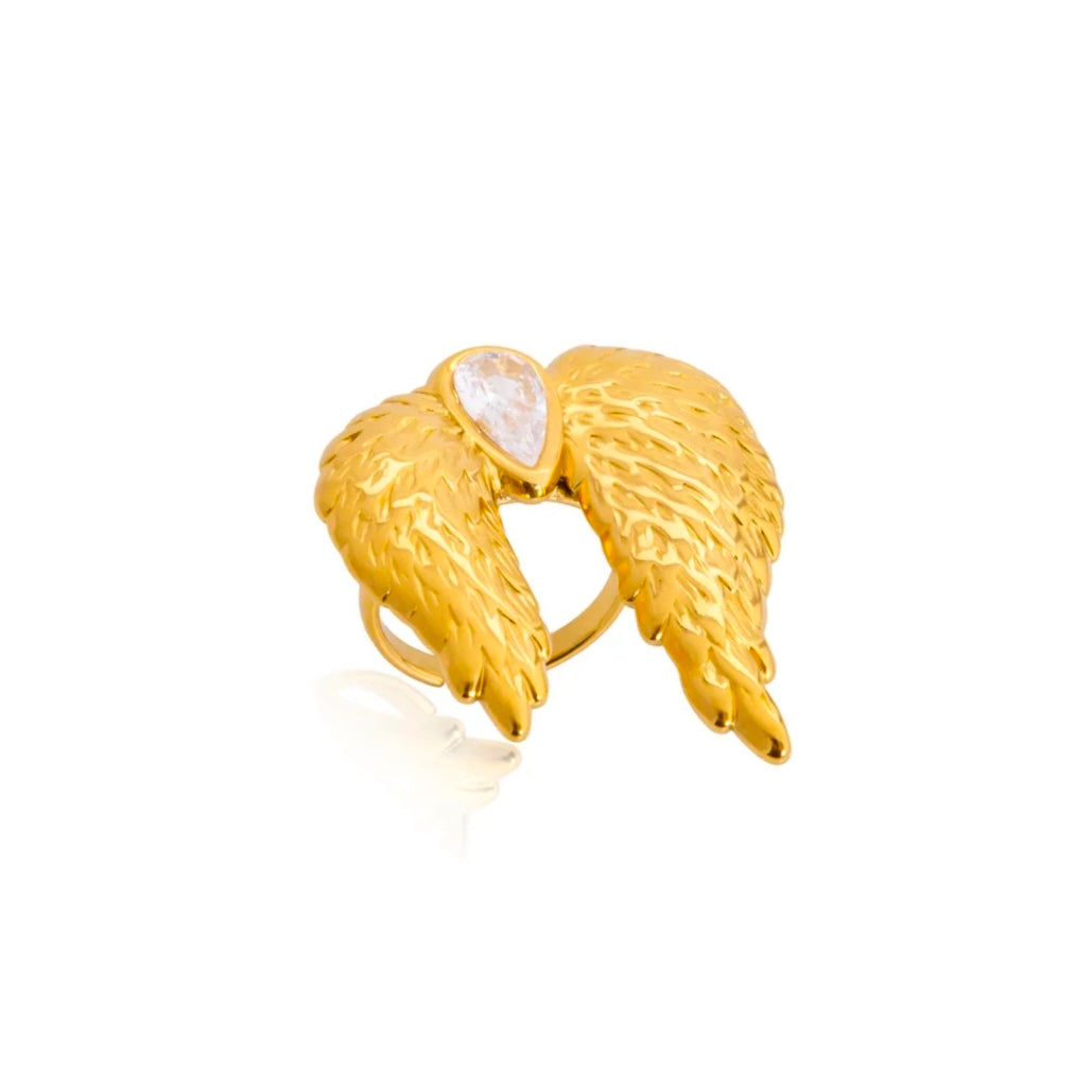 ANILLO