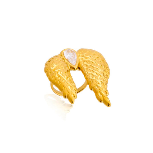 ANILLO