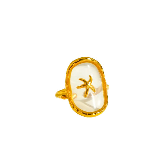 ANILLO MONYSSI