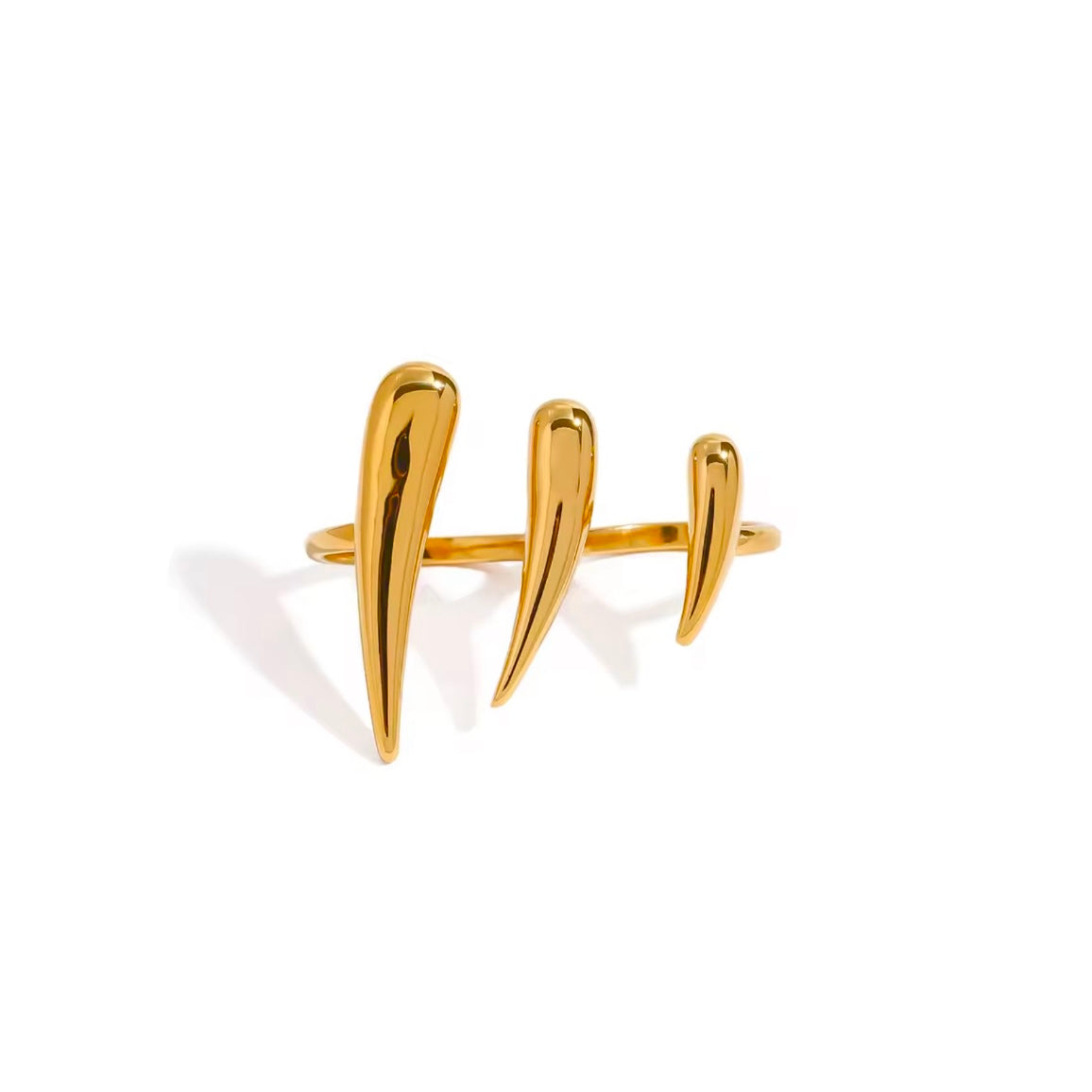 ANILLO GARH