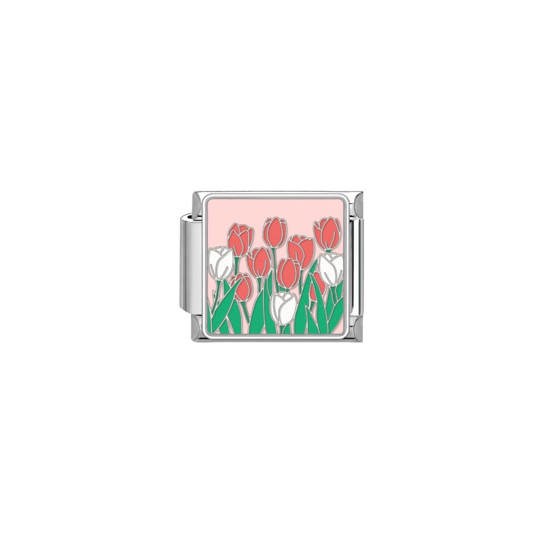 TULIPAN