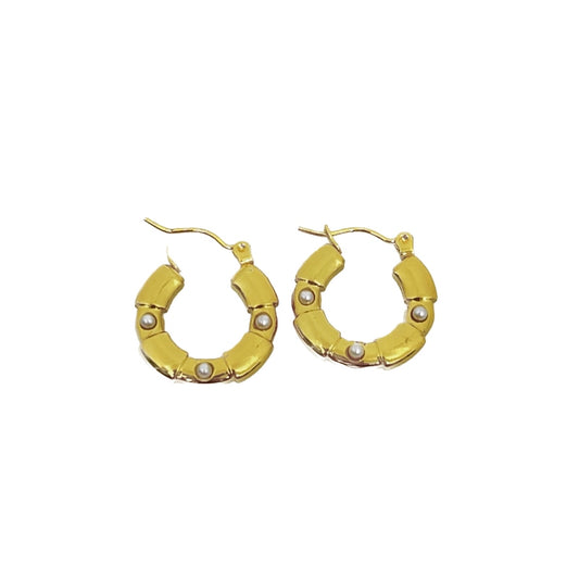 ARETES TANIS
