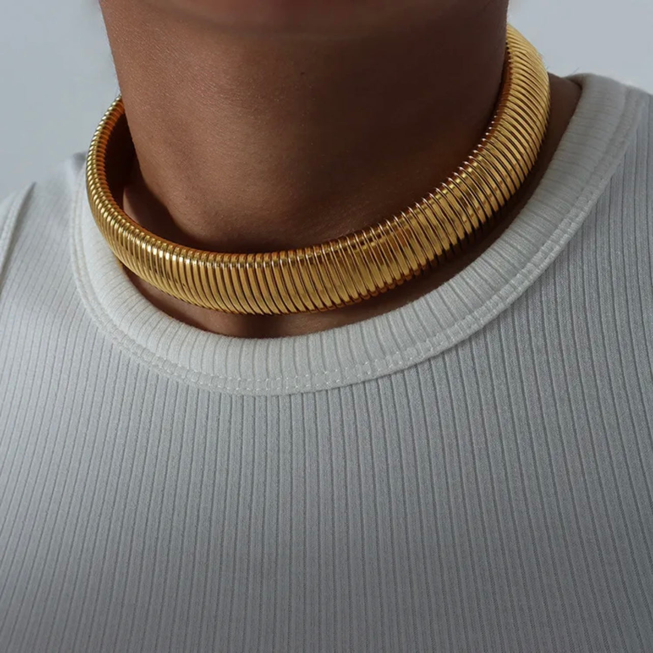 COLLAR FANA PLUS 2.0MM