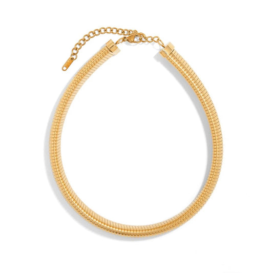 COLLAR FANA PLUS 2.0MM